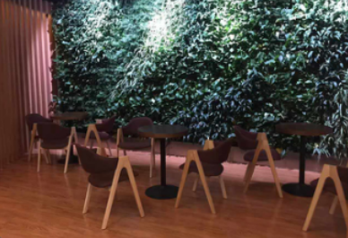 威格健身歲末感恩回饋 活力無限，健康同行